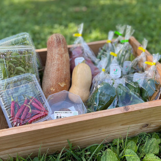 季節のオーガニック野菜セット
