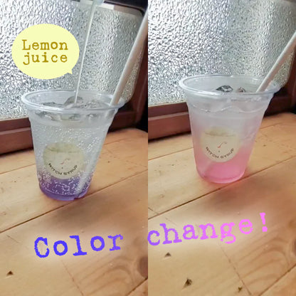 魔女のシロップ　藍色(あいいろ)　薬膳コーディアル　WITCH SYRUP