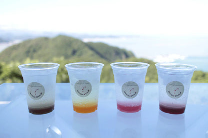 魔女のシロップ　ミニボトルアソート　薬膳コーディアル　WITCH SYRUP