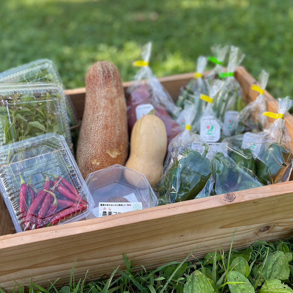 季節のオーガニック野菜セット