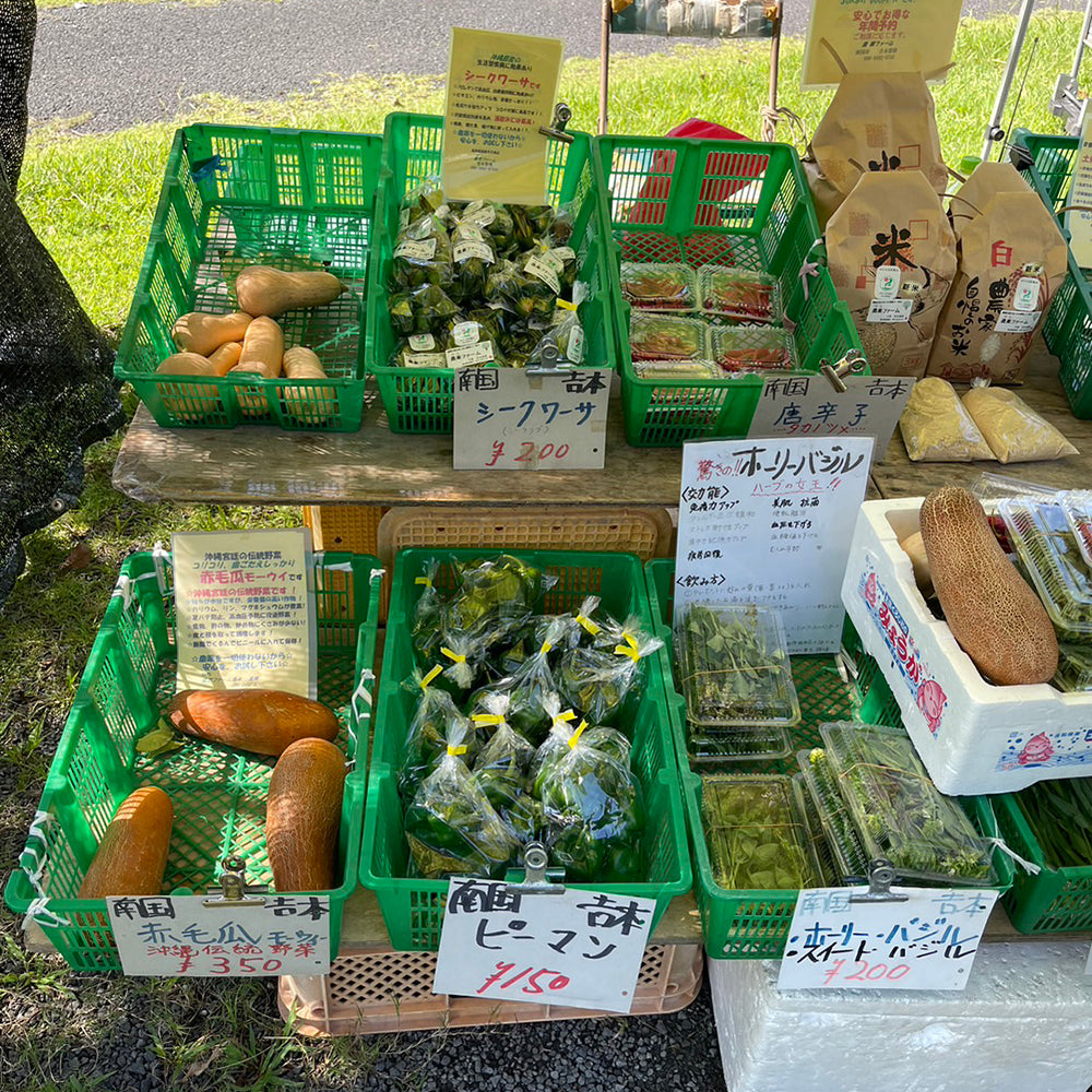 季節のオーガニック野菜セット
