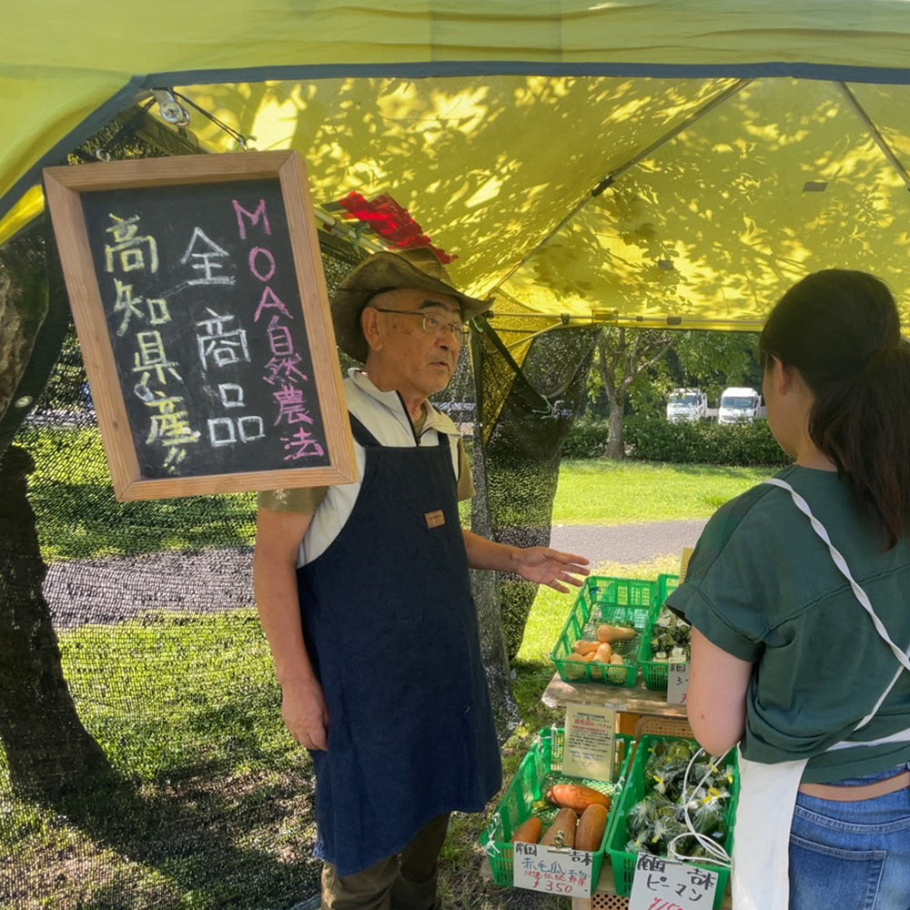 季節のオーガニック野菜セット