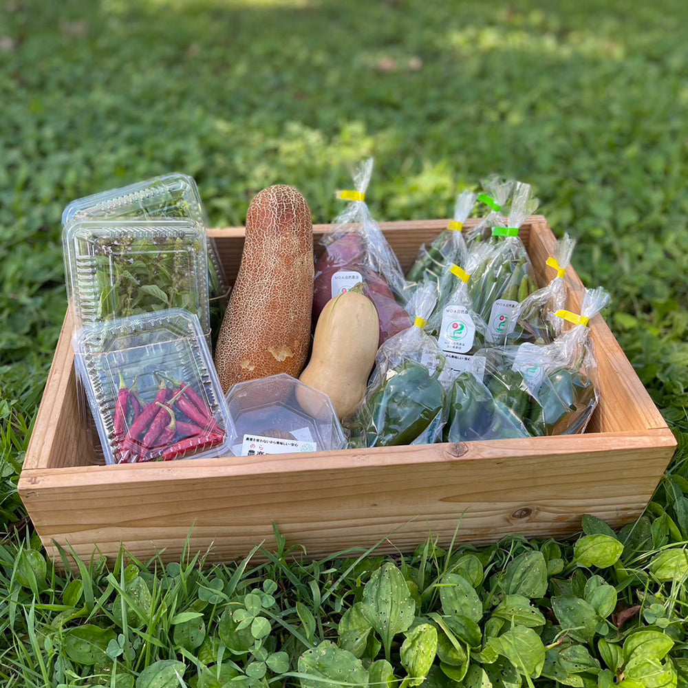 季節のオーガニック野菜セット