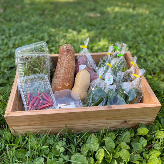 季節のオーガニック野菜セット