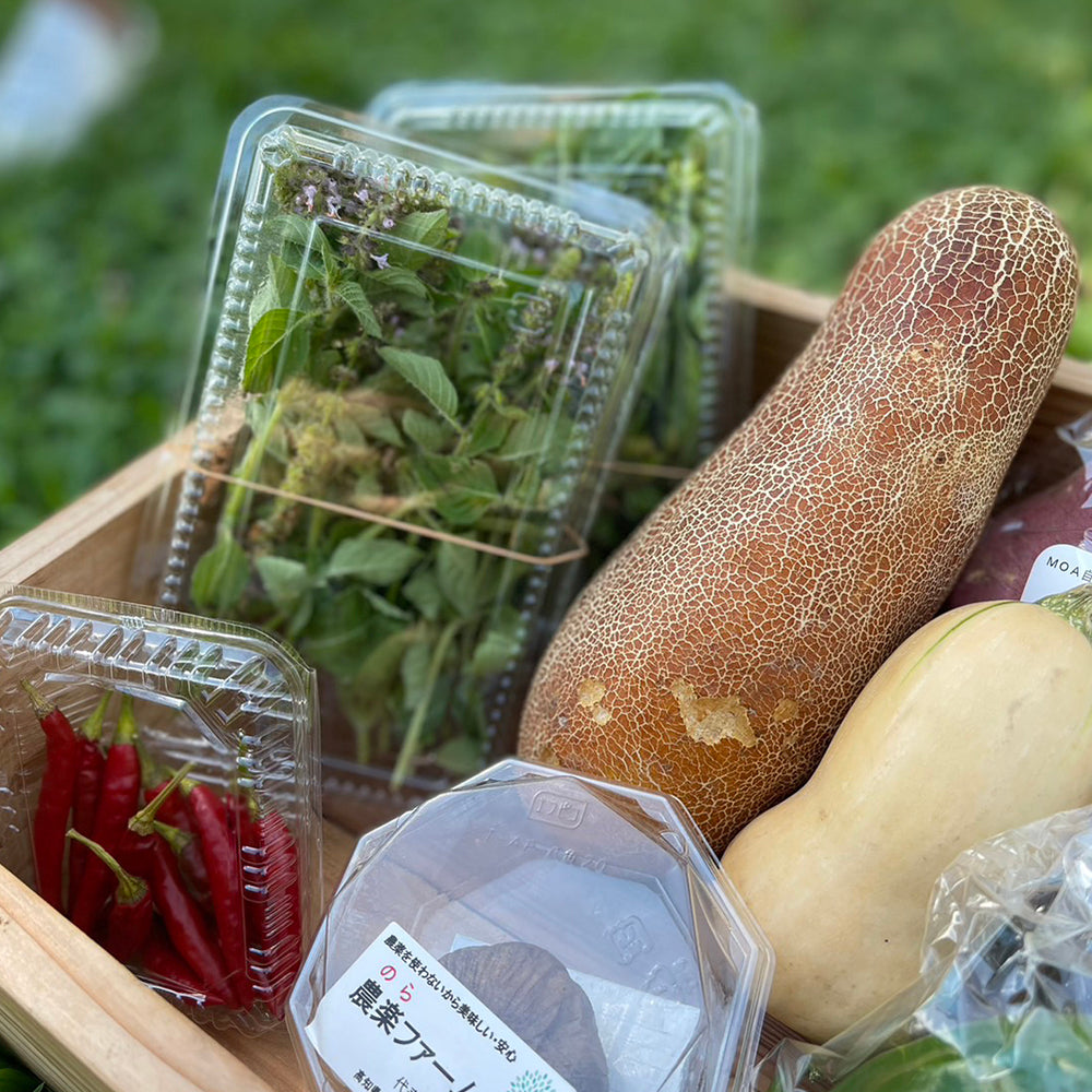 季節のオーガニック野菜セット